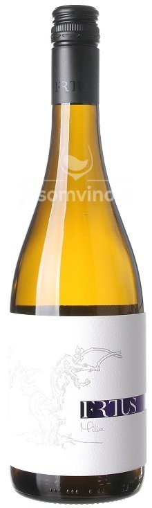 Chardonnay 2019 suché Chardonnay 2019 suché
