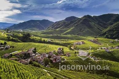 Prosecco - Talianska ikona