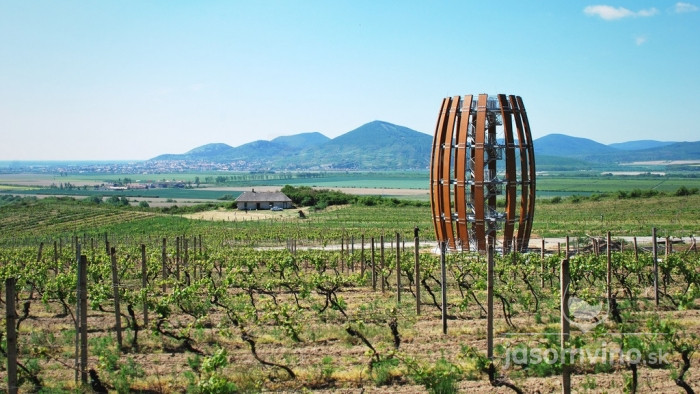 Spoznajte krásy vinohradníckej oblasti Tokaj 