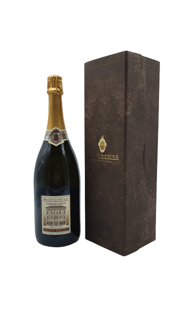 Domus Picta Prosecco Extra dry 1,5l darčekové balenie