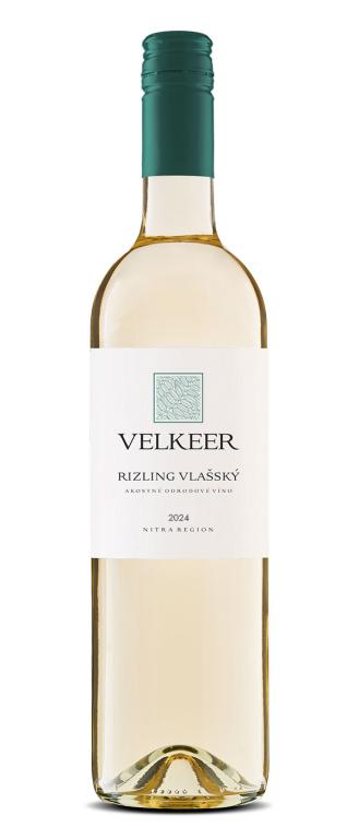 Rizling Vlašský 2024 suché